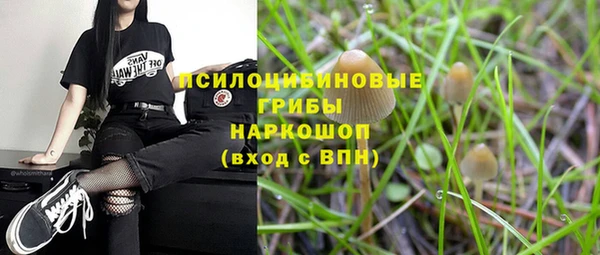 гидропоника Абдулино